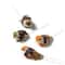 Assorted Mushroom Birds by Ashland®